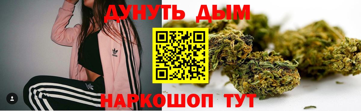 Донецк  МАРИХУАНА семена  Канабис семена  Вход с VPN 